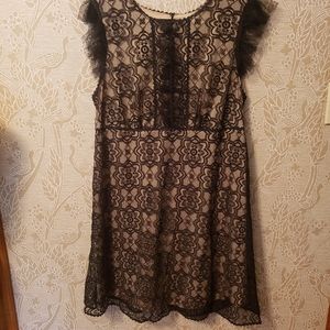 Max Studio Lace Mini Dress